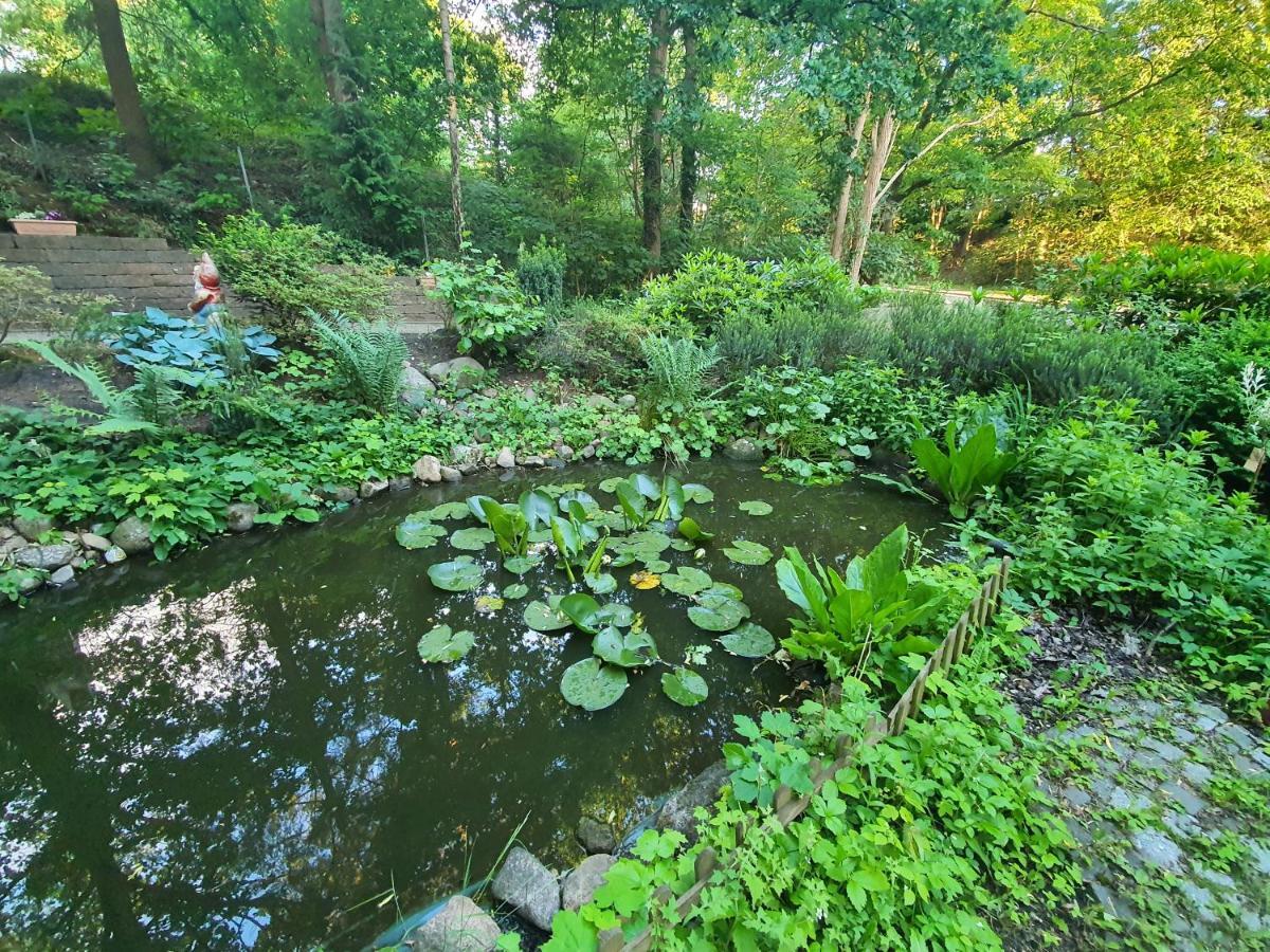 Apartment Bei Hamburg Bis 10 Personen Mit Terasse Und Gartennutzung. Buchholz in der Nordheide Buitenkant foto